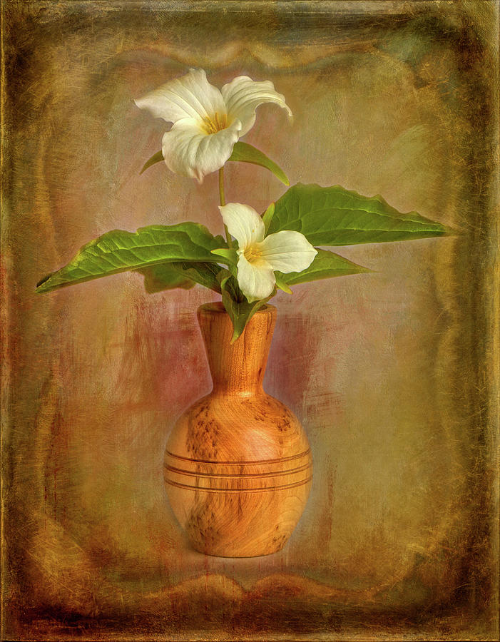 Trillium in Vase Photograph by Paul Freidlund