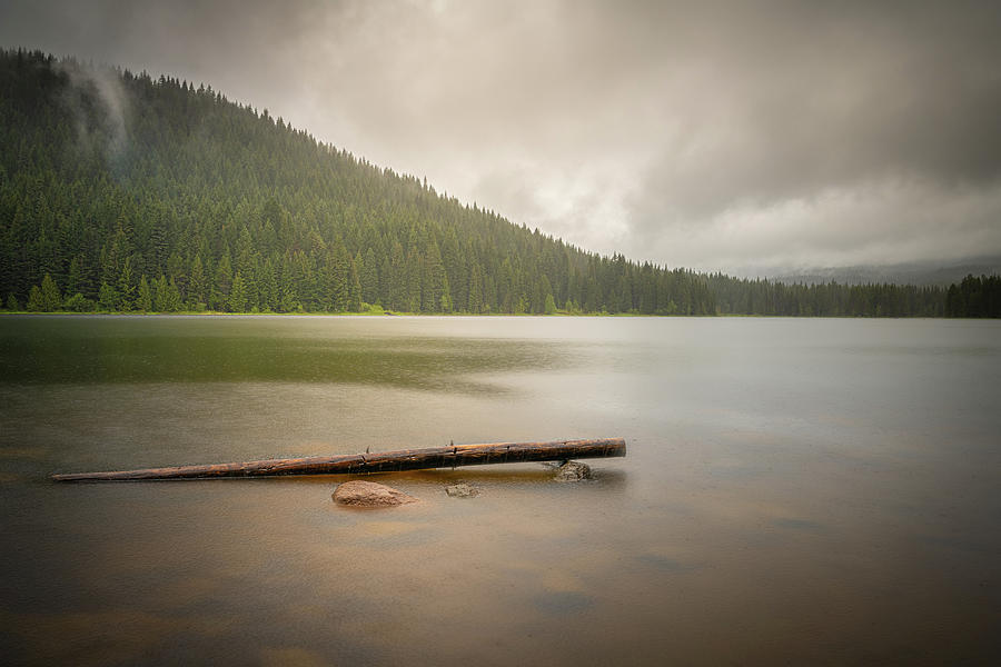 Trillium Lake Photograph by Erin K Images