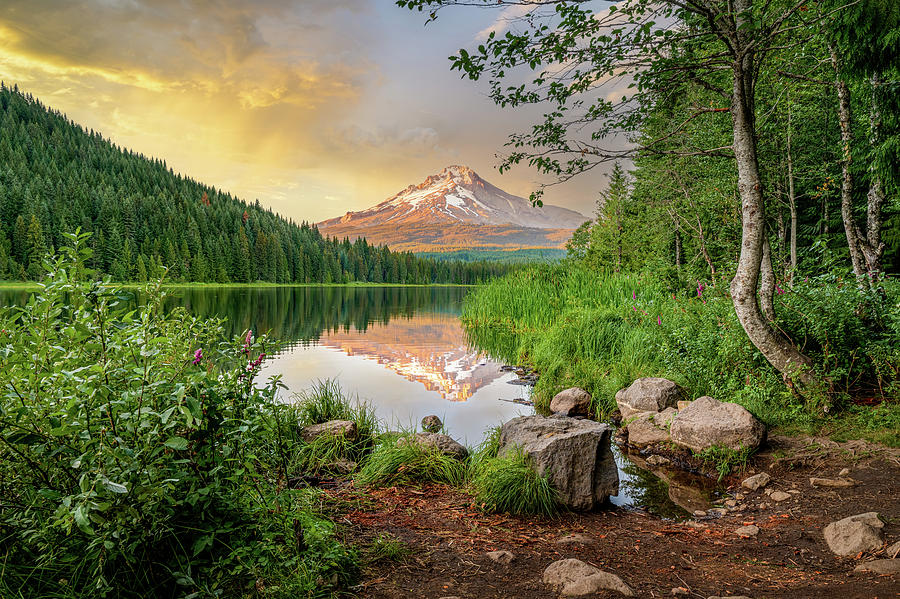 Trillium Lake Photograph by John Wilbur Trillium Lake Photograph by John Wilbur