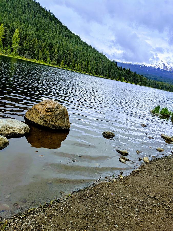 Trillium Lake, Mt. Hood Photograph by Misty Lewis - Pixels