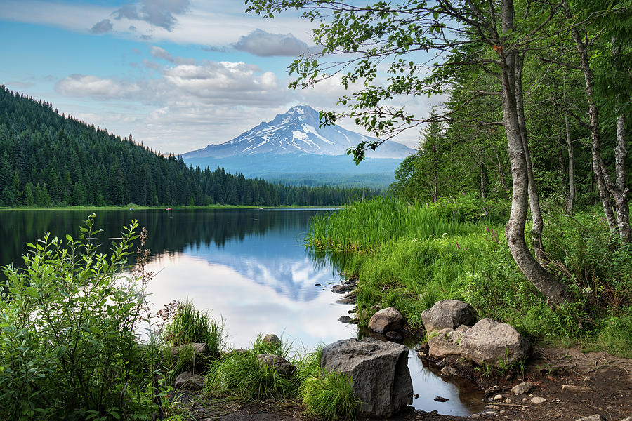 Trillium Lake Oregon Photograph by John Wilbur Trillium Lake Oregon Photograph by John Wilbur