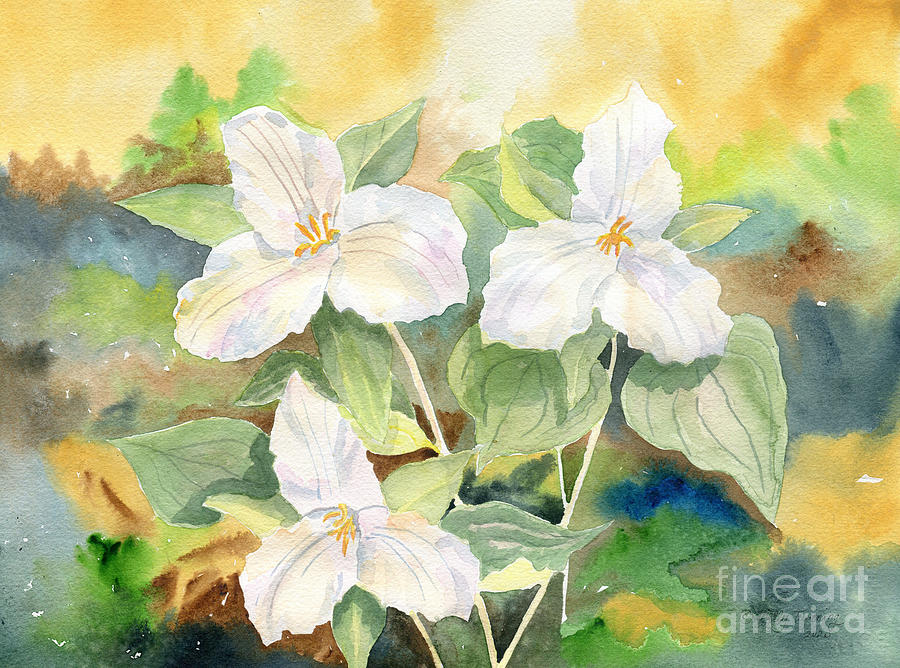 Trillium Wildflowers Watercolor Painting by Melly Terpening
