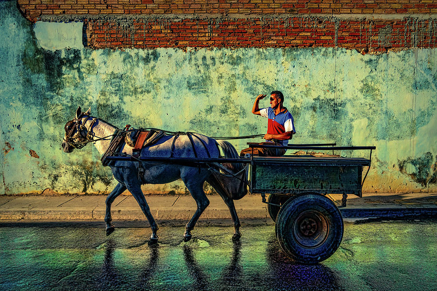 Trinidad Horse And Cart Photograph