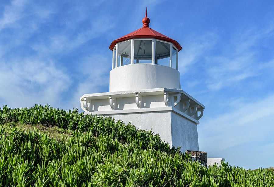 Trinidad Lighthouse Photograph by Jon Exley