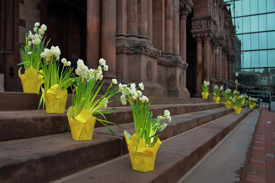Trinity Church Daffodils - Boston, Ma. Photograph by Joann Vitali Trinity Church Daffodils - Boston, Ma. Photograph by Joann Vitali