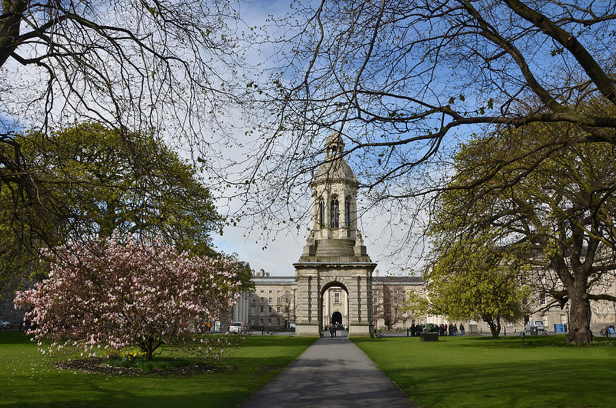 Trinity College Photograph by Federica Grassi