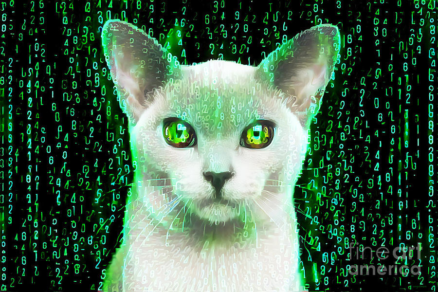 Trinity The Cat Inside The Matrix Contemporary Vibrant Colors 20201020 Photograph by Wingsdomain Art and Photography