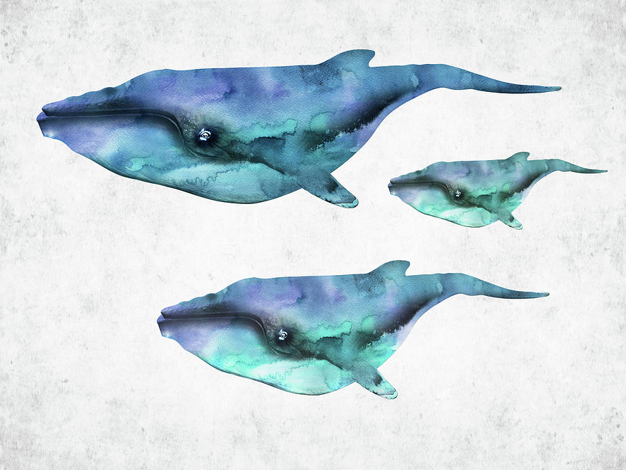 Trio Humpback Whale Watercolor Digital Art By Mihaela Pater 