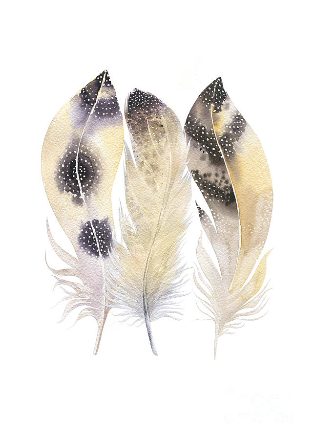 Trio Of Golden Watercolour Feathers Mixed Media