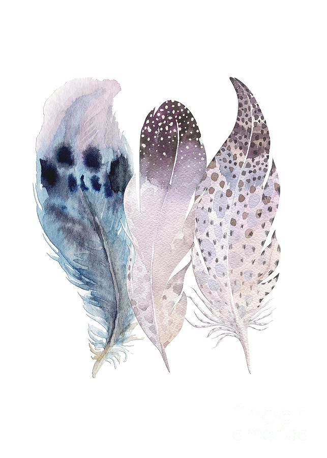Trio Of Watercolour Feathers Mixed Media