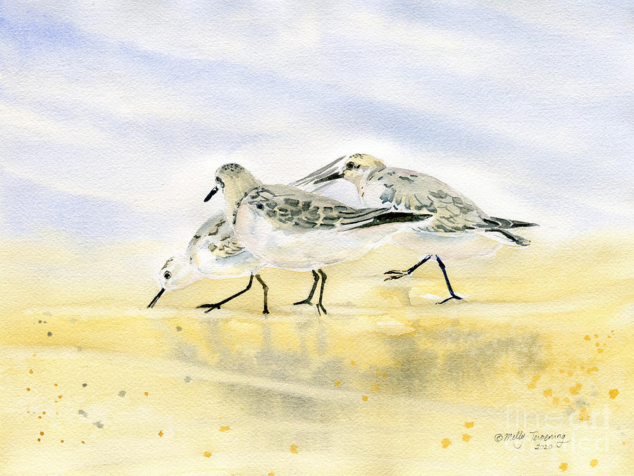 Trio Sandpipers Painting by Melly Terpening