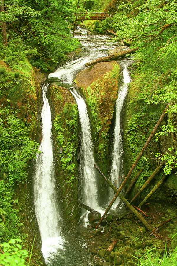 Triple Falls, Columbia River Gorge Hikes Photograph by Leslie Struxness