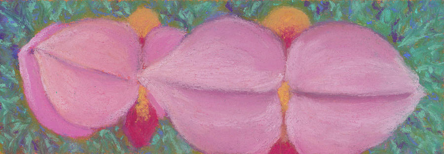 Triple Pink Pastel by Anne Katzeff