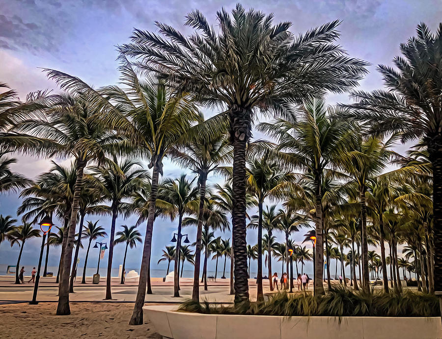 Triumphant Palm Trees Photograph by Lisa Soots