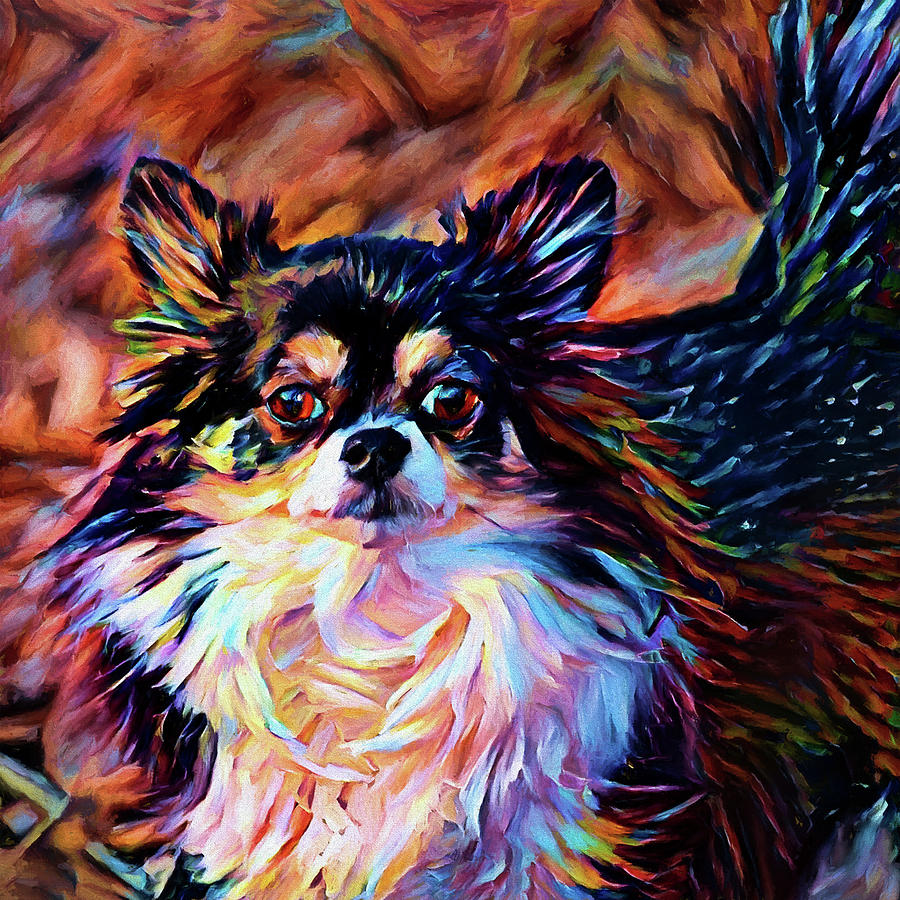 Trixie the Long-Haired Chihuahua Digital Art by Peggy Collins
