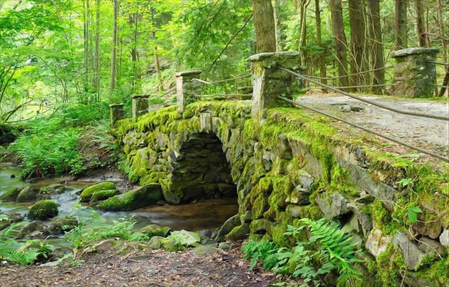 Troll Bridge In Great Smoky Mountains National Park Mixed Media by Sandi OReilly