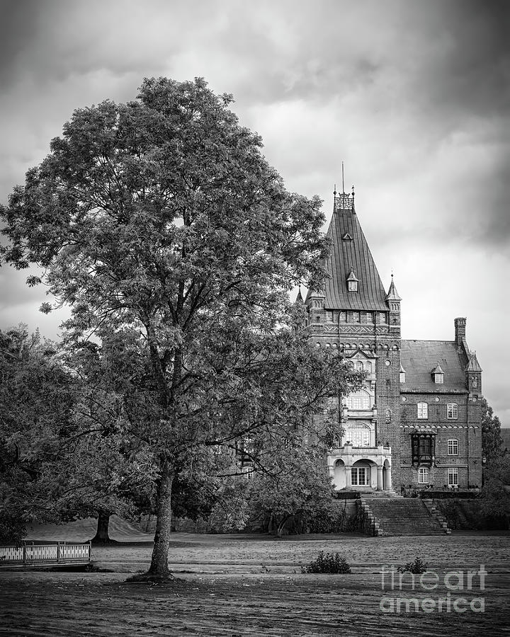 Trollenas Castle with Large Tree Photograph by Antony McAulay