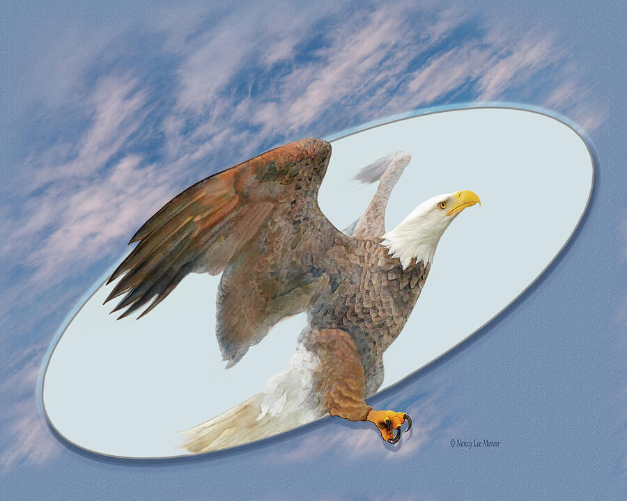 Trompe lOeil of Bald Eagle Flying Free Mixed Media by Nancy Lee Moran