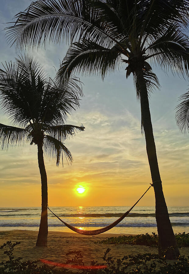 Sunset Photograph - Troncones, Mexico sunset with Hammock by William Mertz Photography