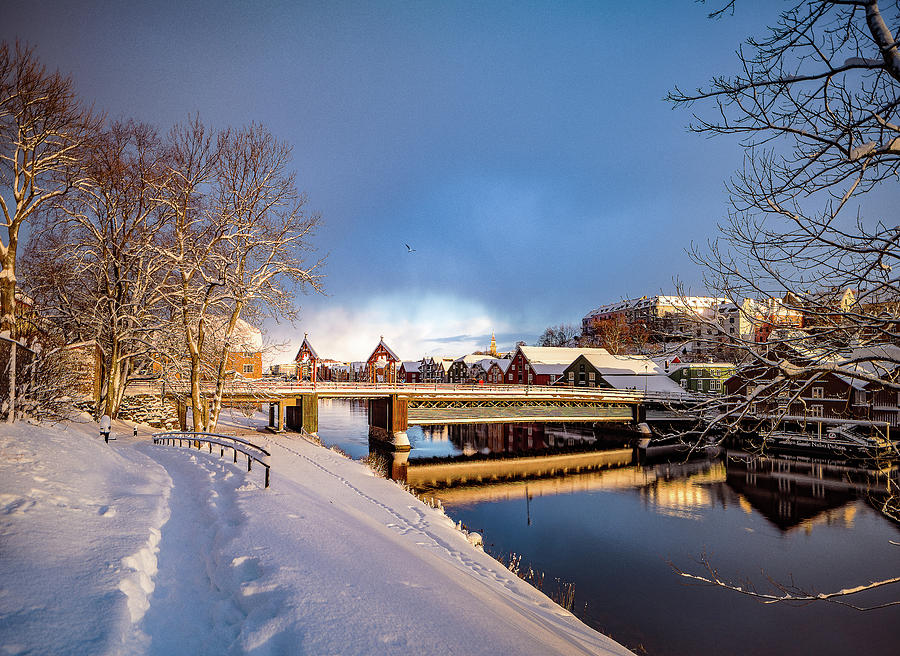 Trondheim Winter Time Photograph