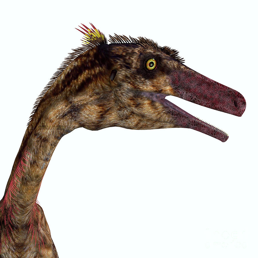 Troodon Dinosaur Head Digital Art by Corey Ford