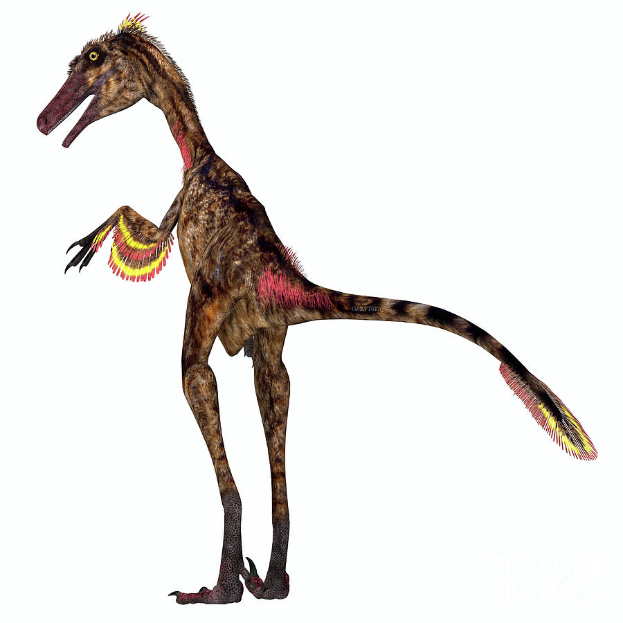 Troodon Dinosaur Tail Digital Art