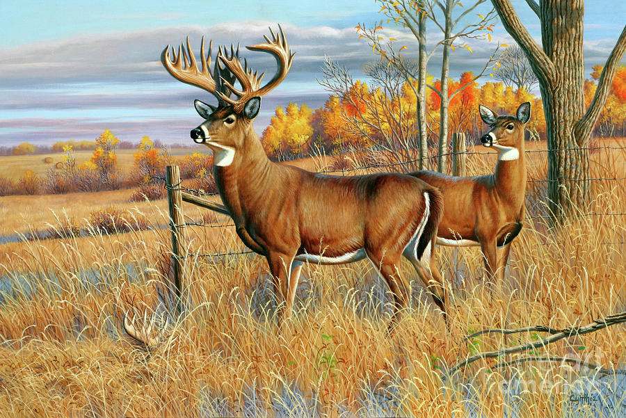 Trophy Whitetail Deer Painting by Cynthie Fisher