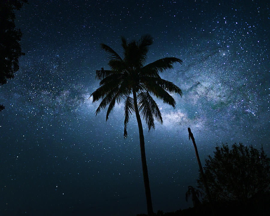 Tropic of Milky Way Photograph by Mark Andrew Thomas