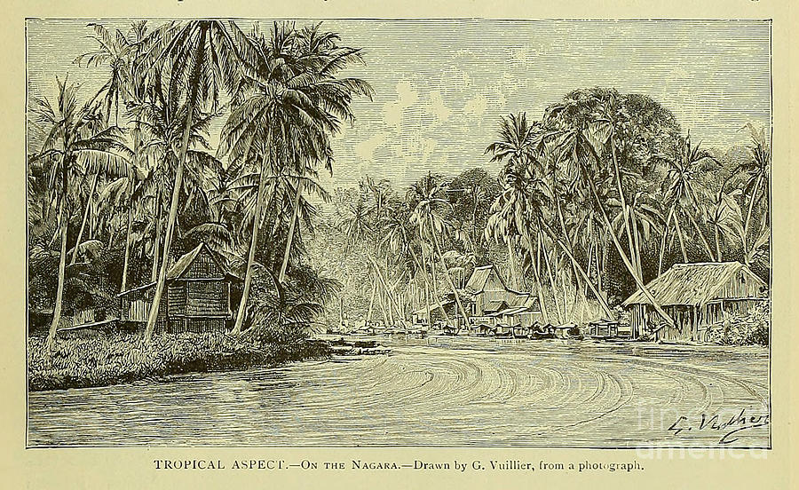 Tropical Aspect on the Nagara River n5 Drawing by Historic ...