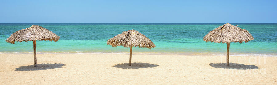 Tropical beach parasols panoramic Photograph by Delphimages Photo Creations