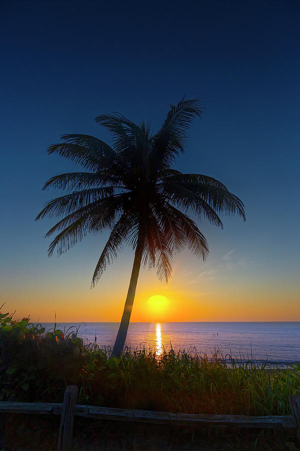 Tropical Beach Sunrise Photograph by Mark Andrew Thomas | Fine Art America