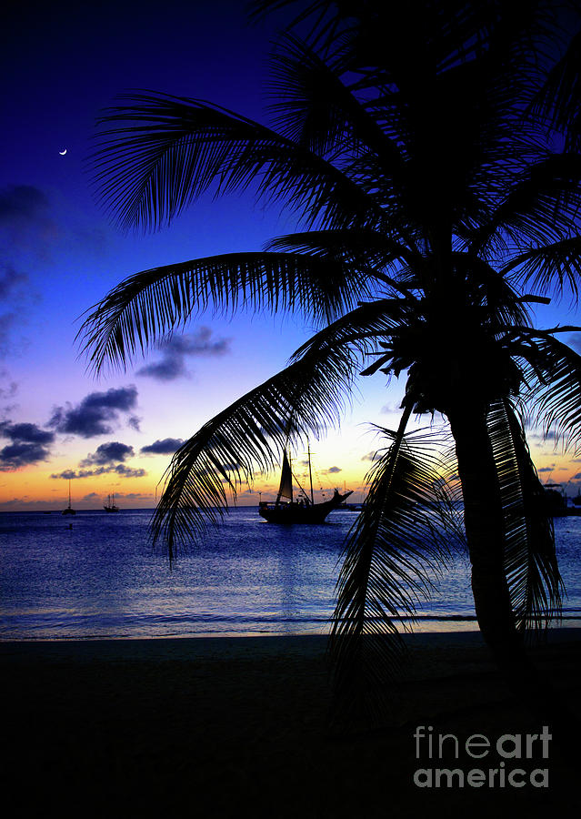 Tropical Beach Sunset Photograph