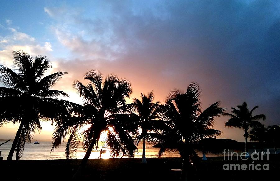 Sunset Digital Art - Tropical Beach Sunset by Sheryl Chapman Photography