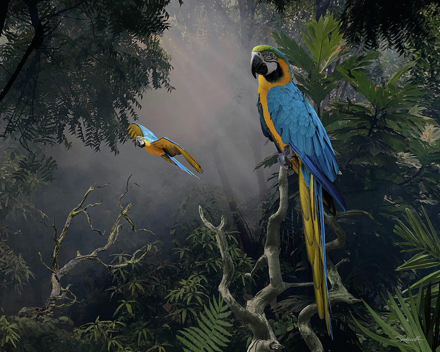 Tropical Blue and Gold Macaws Digital Art by M Spadecaller