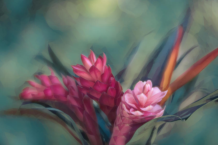 Flower Photograph - Tropical Bouquet by Fraida Gutovich