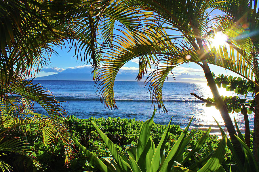 Tropical Breeze Photograph by Aaron Cox - Fine Art America