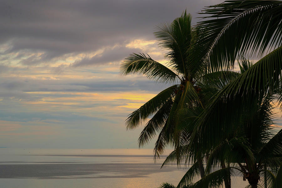Sunset Photograph - Tropical Breeze by James BO Insogna