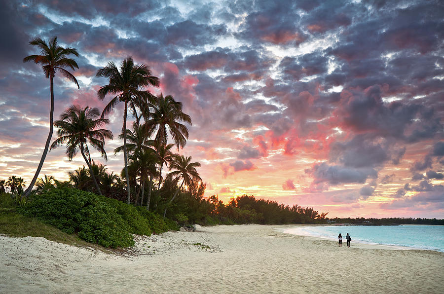 Tropical Caribbean White Sand Beach Paradise at Sunset Photograph by Dave Allen
