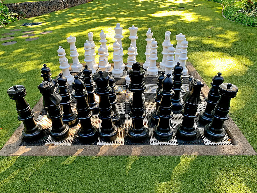 Tropical Chess Study 1 Photograph