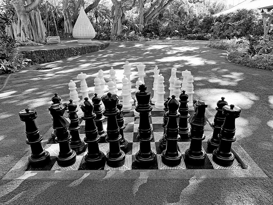 Tropical Chess Study 3 Photograph by Robert Meyers-Lussier