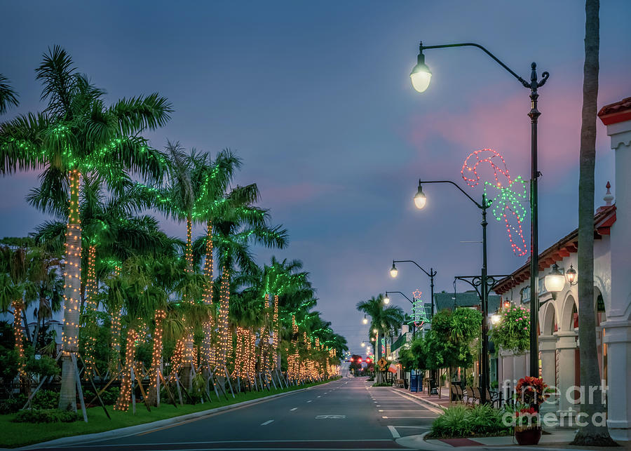 Tropical Christmas in Venice, Florida Photograph by Liesl Walsh