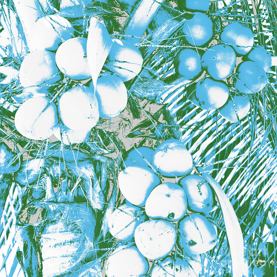 Tropical Coconuts Creative Photograph by Carol Groenen