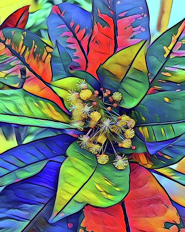 Tropical Croton Digital Art by Rachel Lee Young
