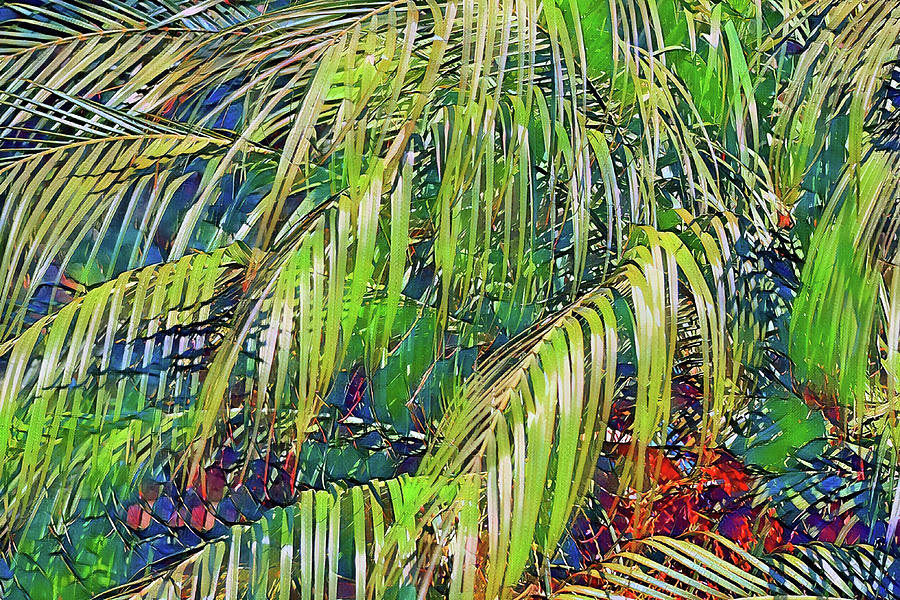 Tropical Date Palm Leaves Digital Art by Gaby Ethington
