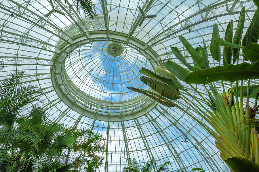 Tropical Dome Photograph by Cate Franklyn