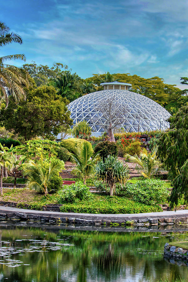 Tropical Dome Photograph by Rick Nelson