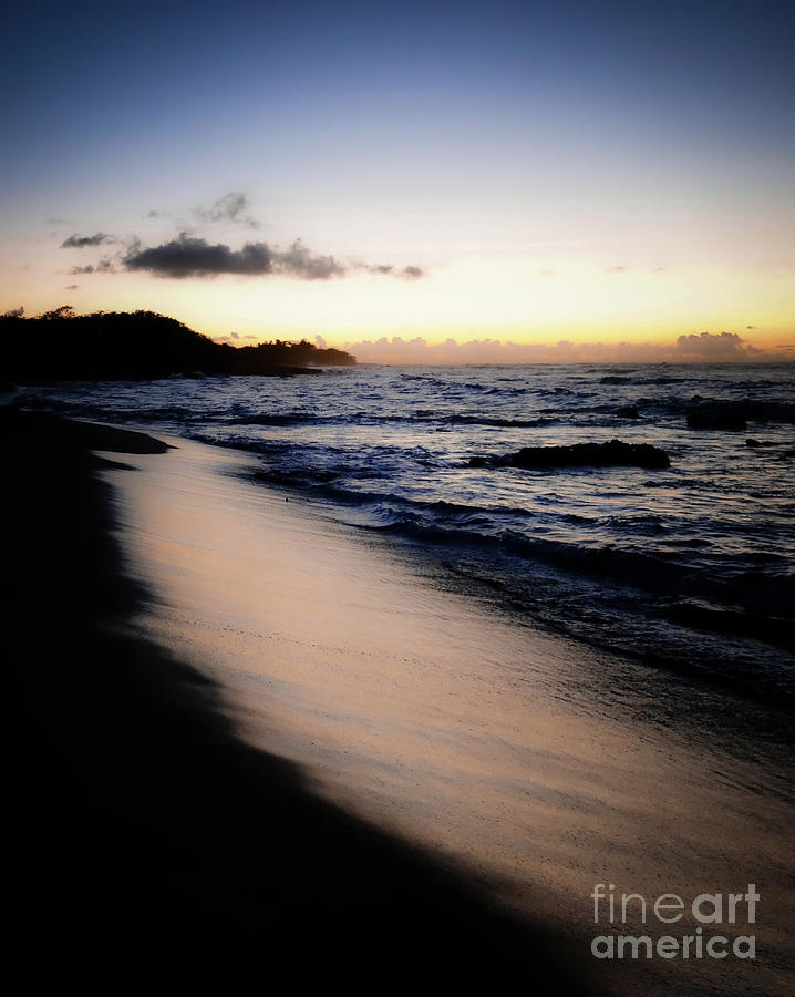 Sunset Photograph - Tropical dreaming by Lisa LaniKai Stevenson