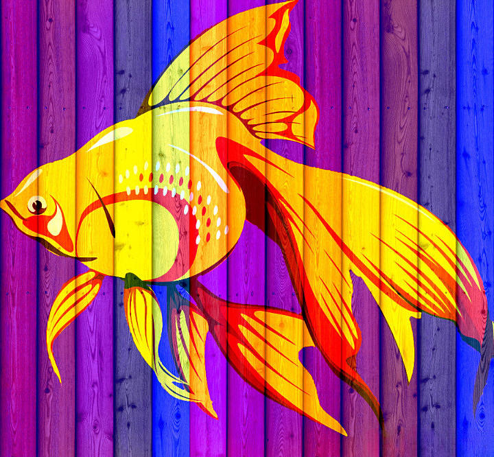 Tropical Fish - Goldfish Digital Art