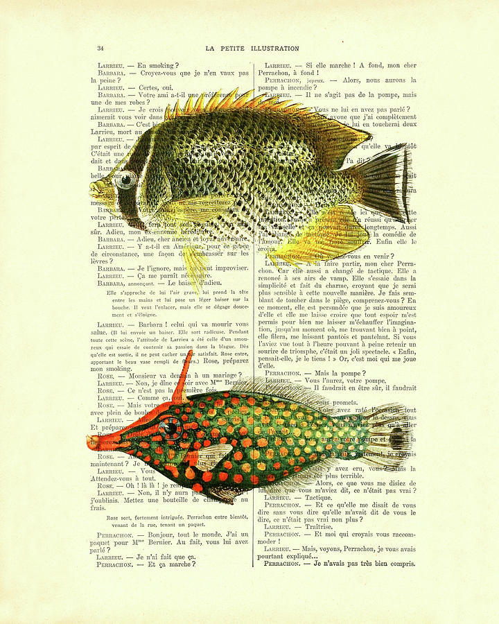 Fish Digital Art - Tropical fish species chart by Madame Memento