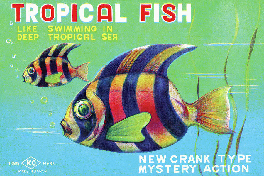Vintage Drawing - Tropical Fish by Vintage Toy Posters